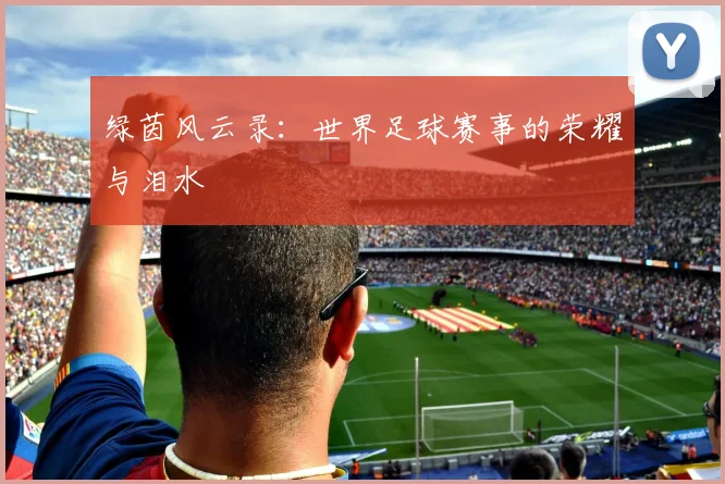 绿茵风云录:世界足球赛事的荣耀与泪水