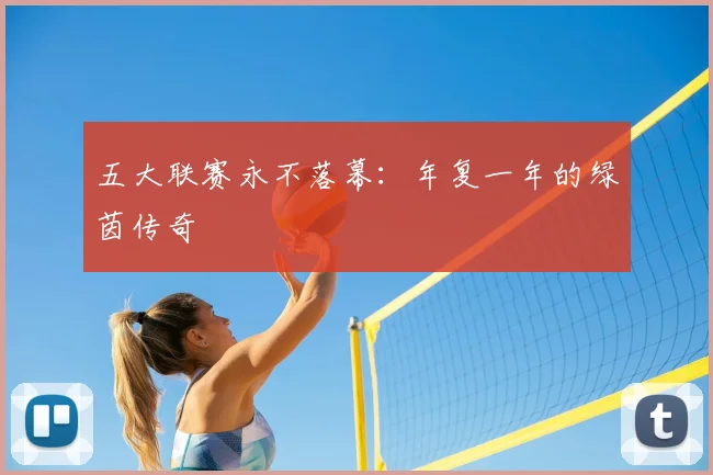 五大联赛永不落幕：年复一年的绿茵传奇